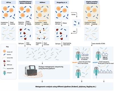 Benchmarking microbial DNA enrichment protocols from human intestinal biopsies